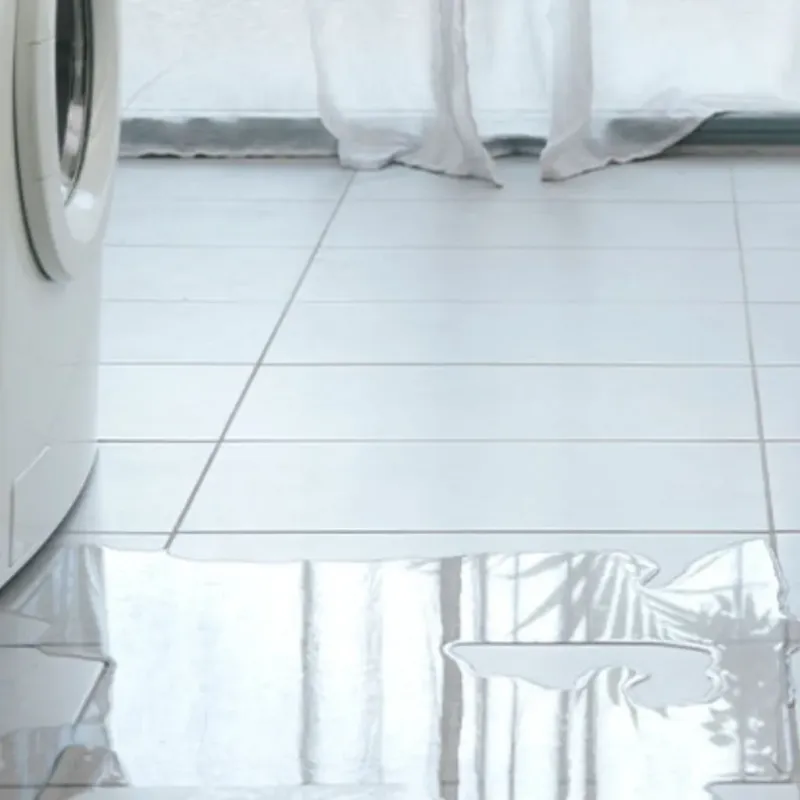 Appliance Leak Cleanup in Sandy Valley, NV