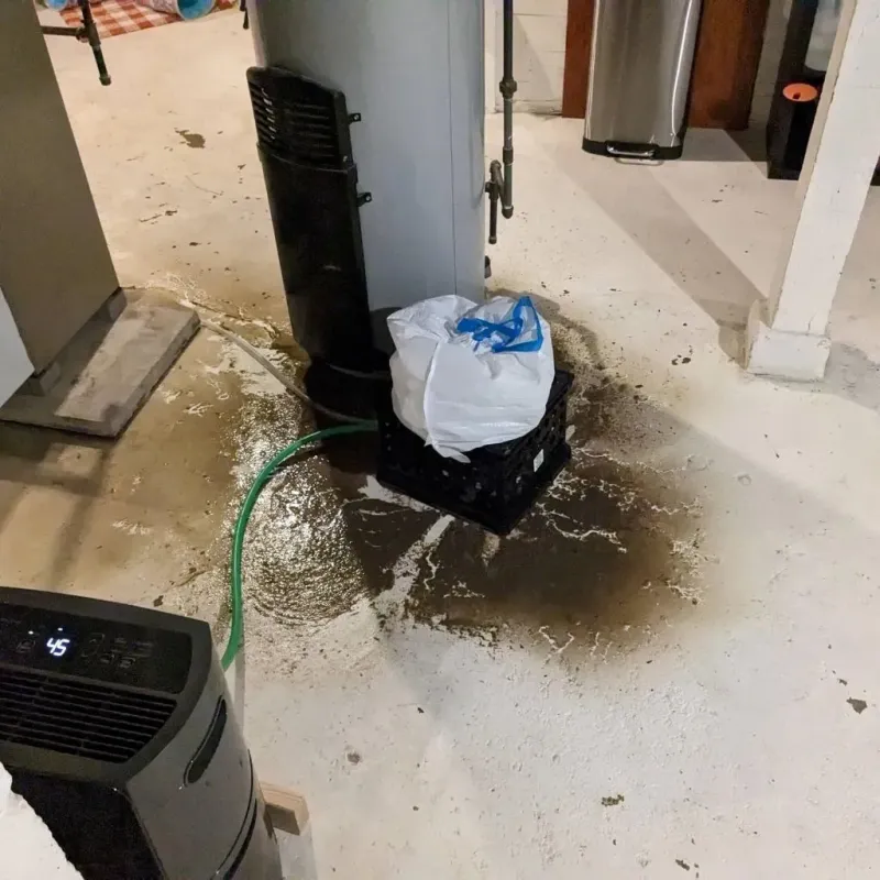 Sewage Backup Cleanup Service in Sandy Valley, NV